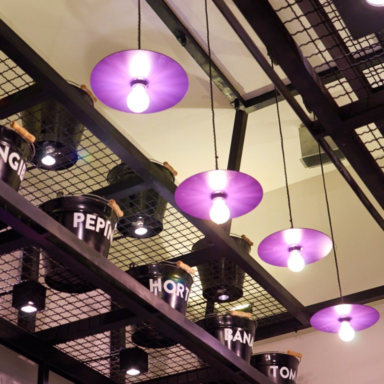 Greenies Hi_DSC_9659